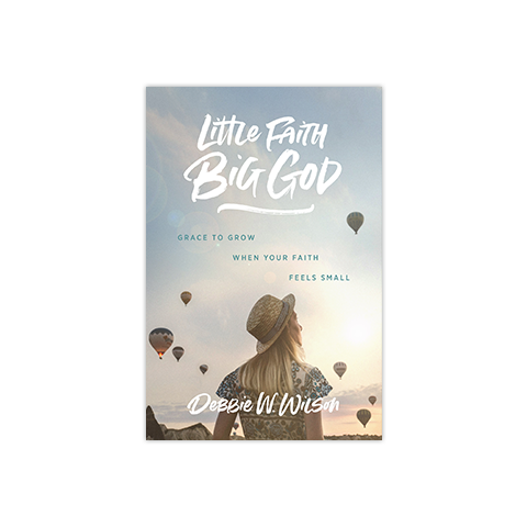 Little Faith, Big God: Grace to Grow When Your Faith Feels Small